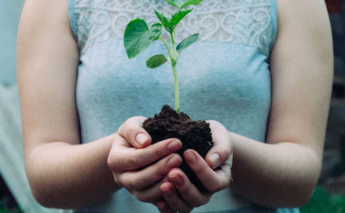 Earth Day Tips